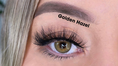 Golden hazel